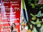 Festivalul "Zilele Salcâmului în floare"