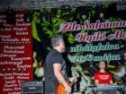 Festivalul "Zilele Salcâmului în floare"