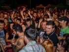 Festivalul "Zilele Salcâmului în floare"