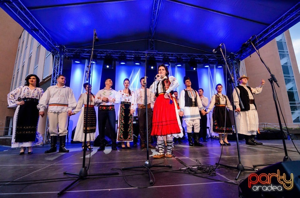 Festivalul Artelor Studenţeşti Vivat Academia, Universitatea din Oradea