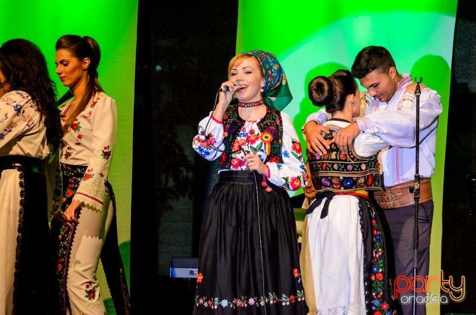 Festivalul Artelor Studenţeşti Vivat Academia, Universitatea din Oradea