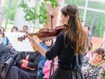 Festivalul Artelor Studenţeşti Vivat Academia