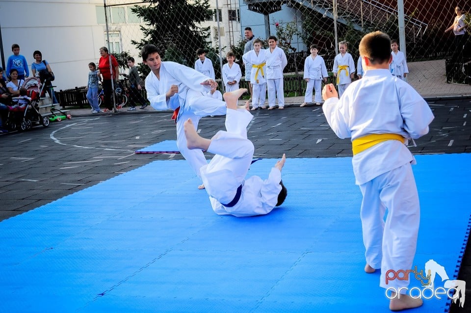 Festivalul copiilor, Oradea