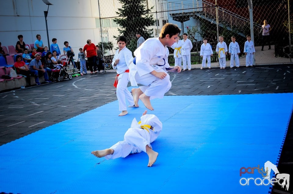 Festivalul copiilor, Oradea