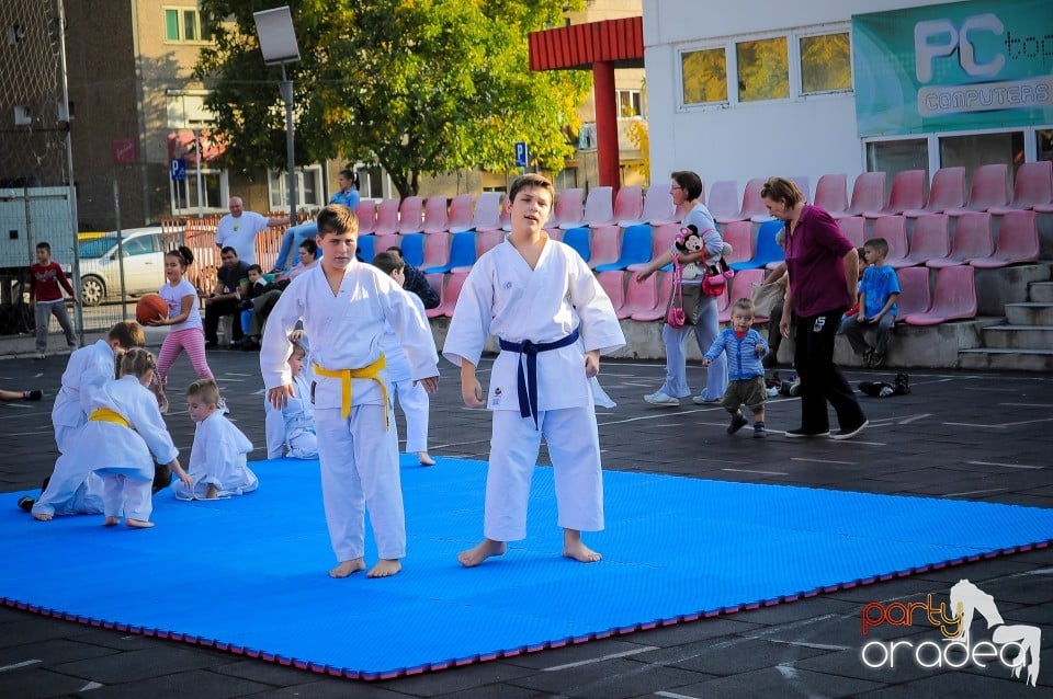 Festivalul copiilor, Oradea