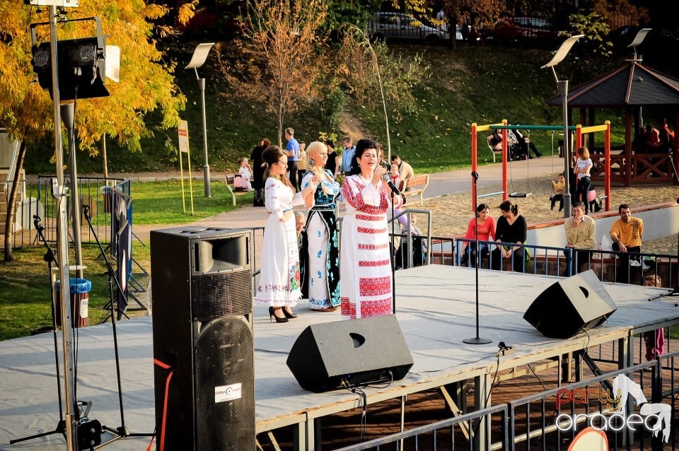 Festivalul copiilor, Oradea