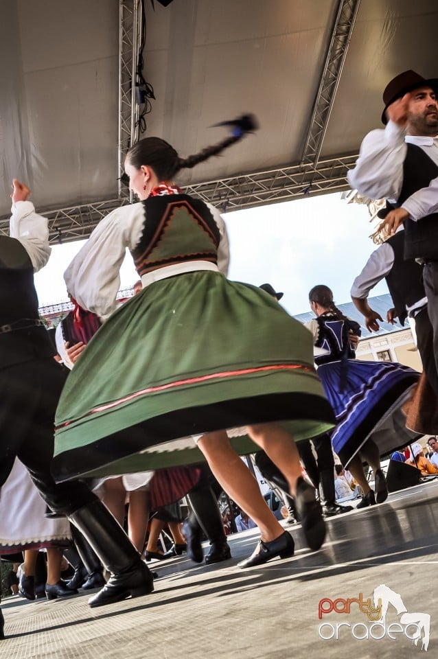 Festivalul International de Folclor, Oradea