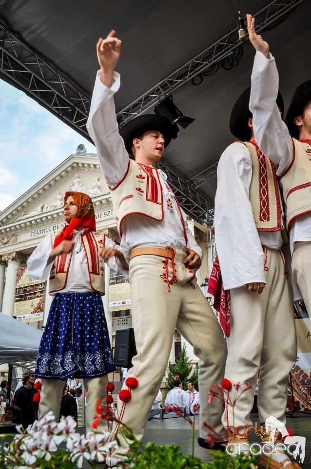 Festivalul International de Folclor, Oradea