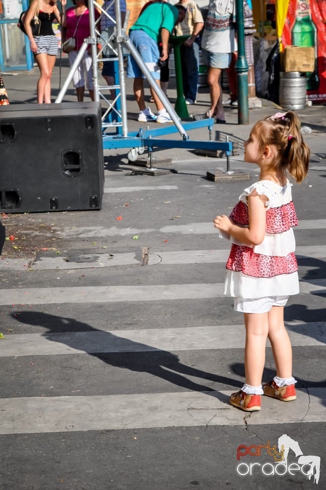 Festivalul International de Folclor, Oradea