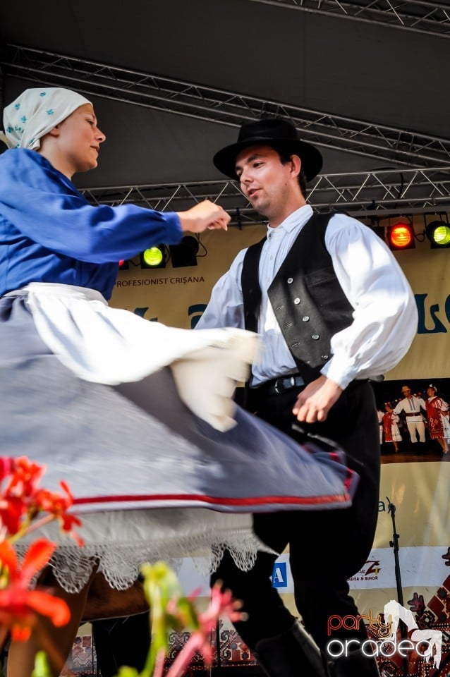 Festivalul International de Folclor, Oradea