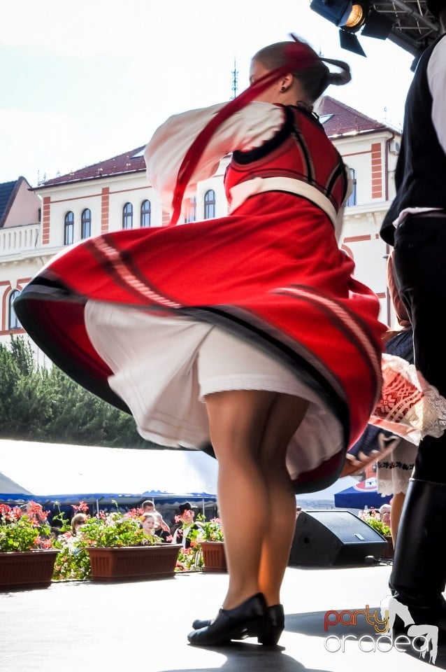 Festivalul International de Folclor, Oradea