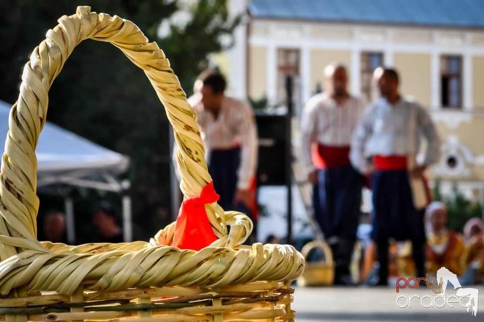 Festivalul International de Folclor, Oradea