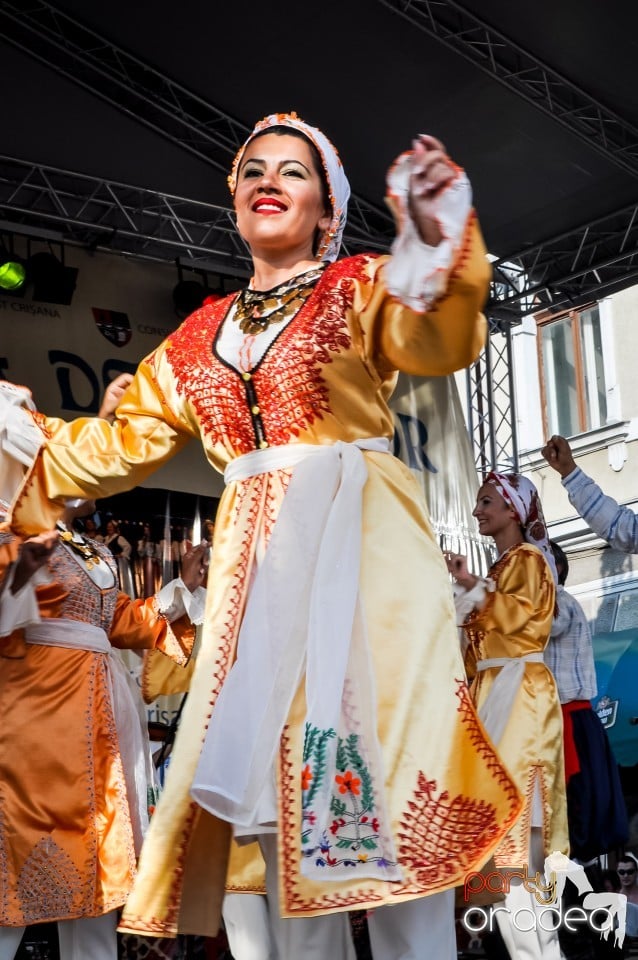 Festivalul International de Folclor, Oradea