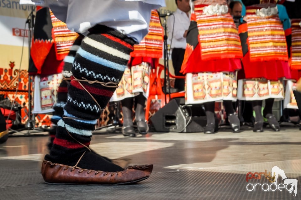 Festivalul International de Folclor, Oradea