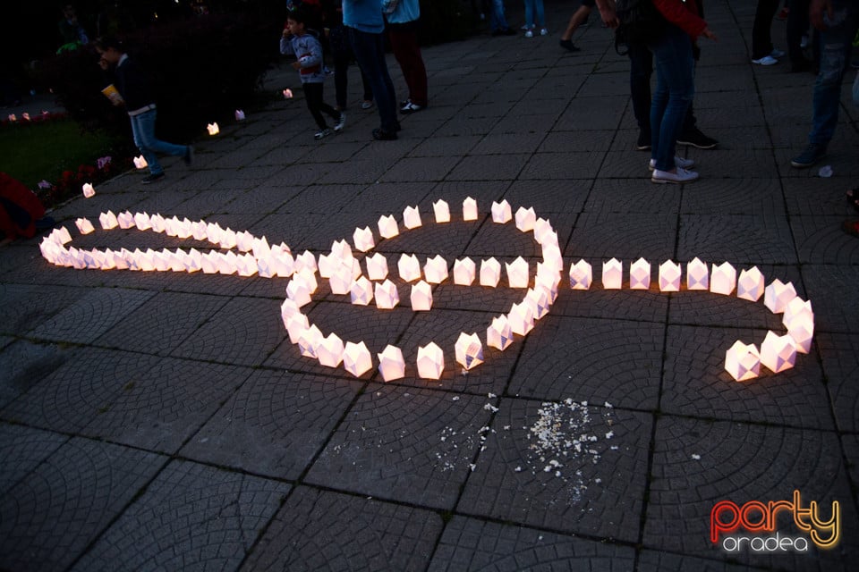 Festivalul Luminii 2017, Oradea