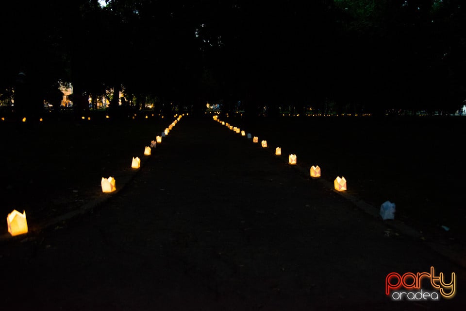 Festivalul Luminii 2017, Oradea