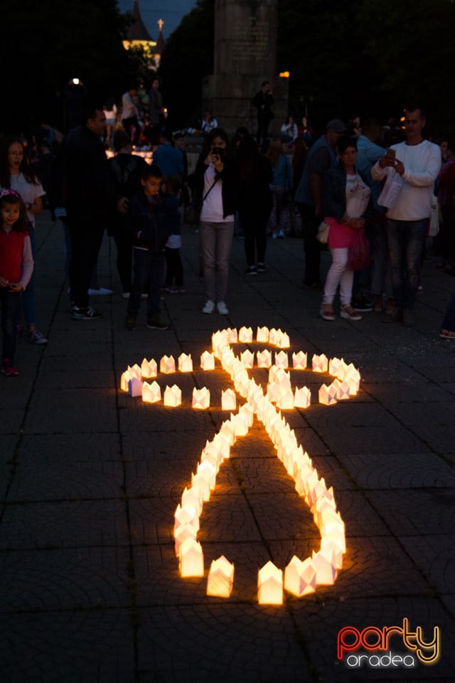 Festivalul Luminii 2017, Oradea