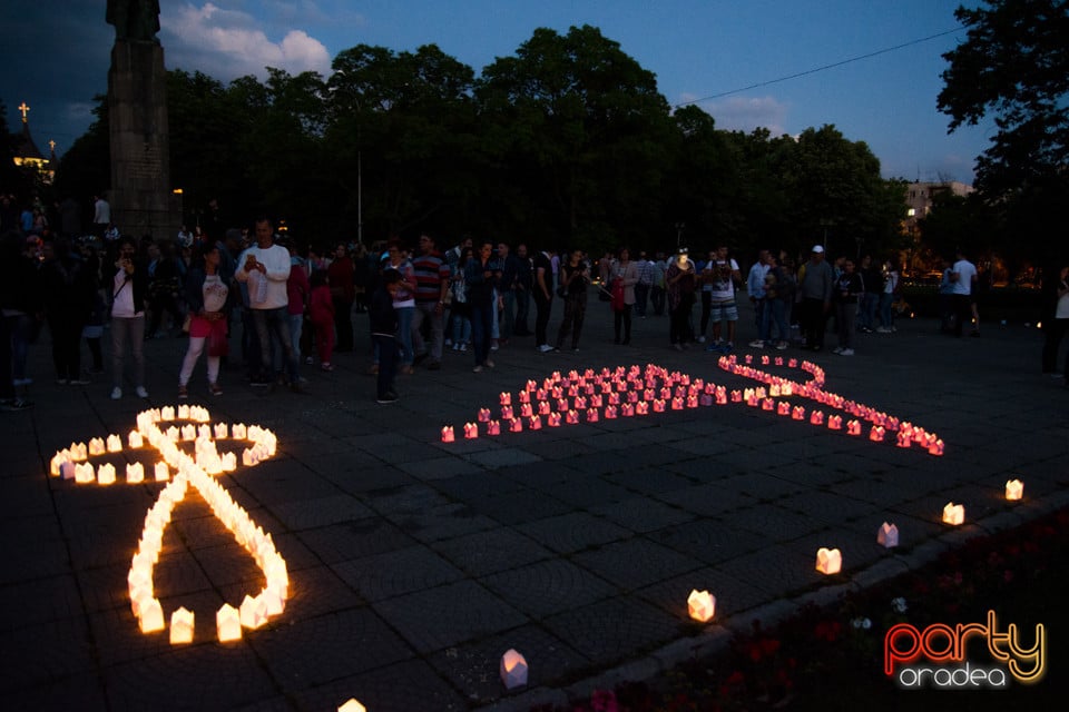 Festivalul Luminii 2017, Oradea