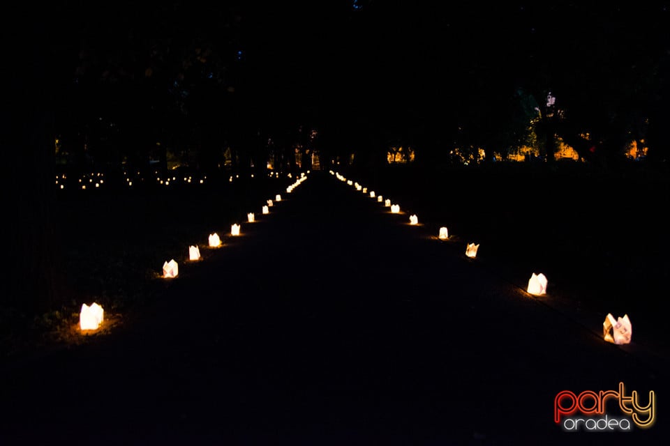 Festivalul Luminii 2017, Oradea