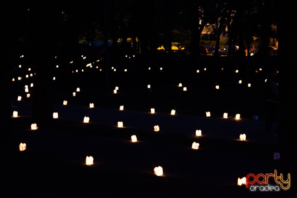 Festivalul Luminii 2017, Oradea