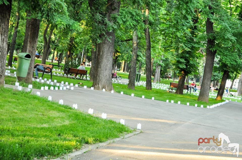 Festivalul luminii, Oradea