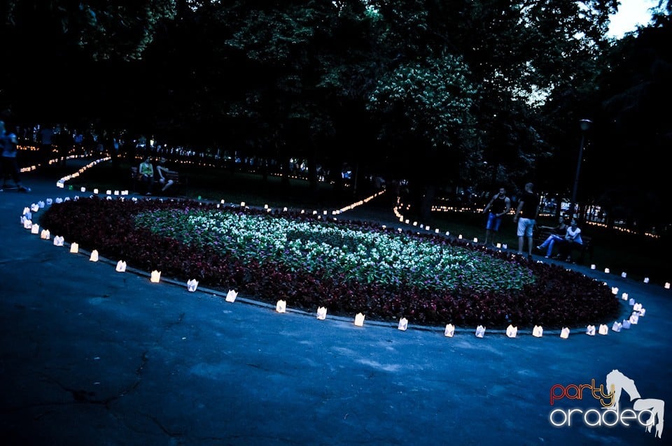 Festivalul luminii, Oradea