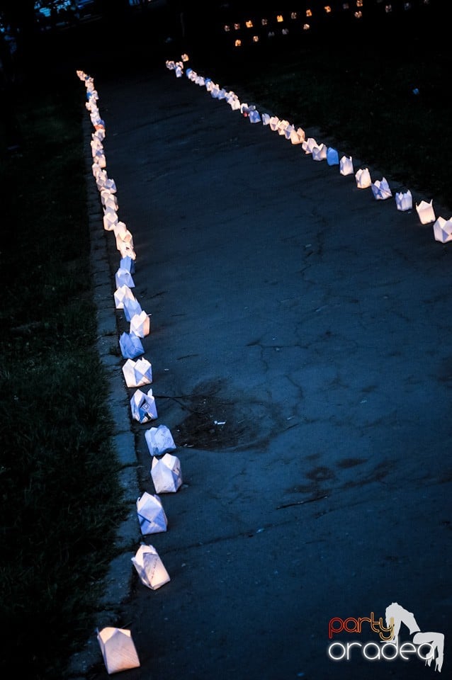 Festivalul luminii, Oradea