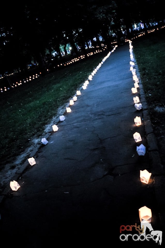 Festivalul luminii, Oradea