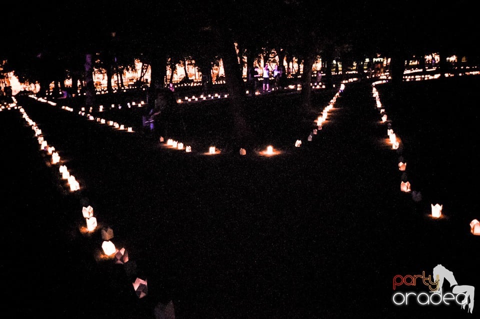 Festivalul luminii, Oradea