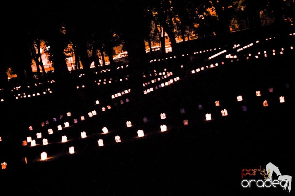 Festivalul luminii, Oradea
