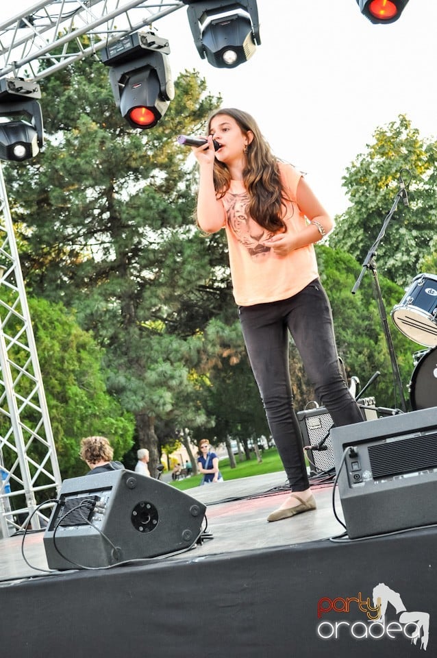 Festivalul luminii, Oradea