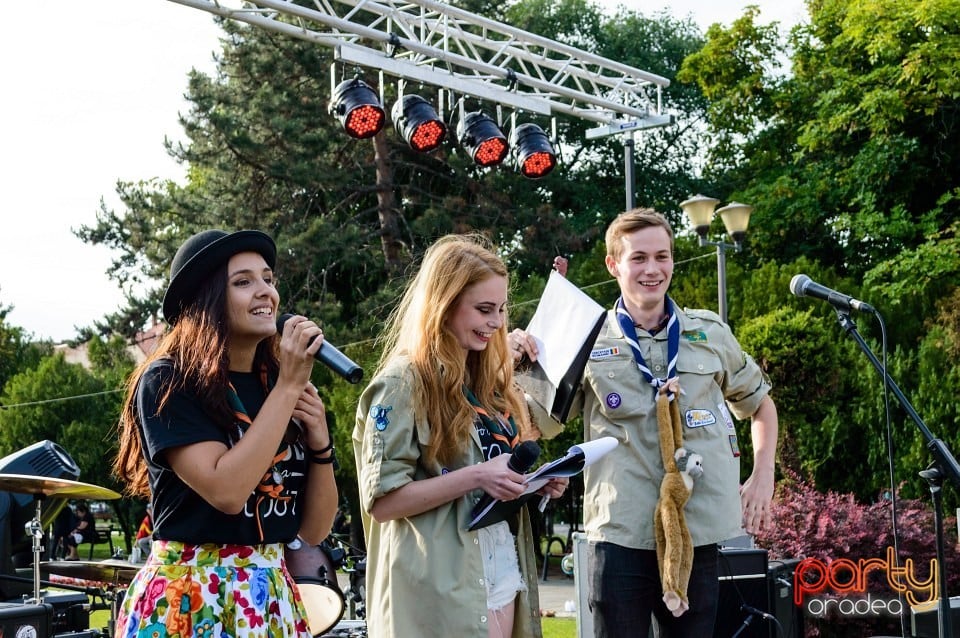 Festivalul luminii, Oradea