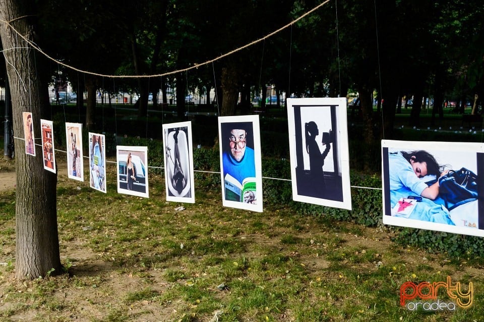 Festivalul luminii, Oradea