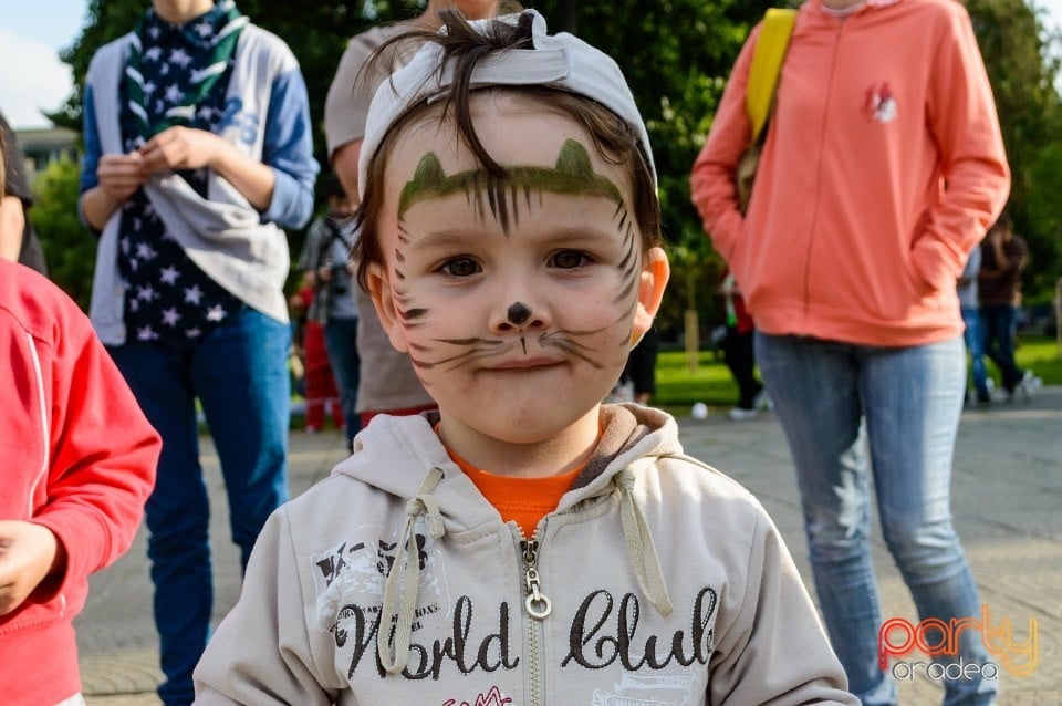 Festivalul luminii, Oradea