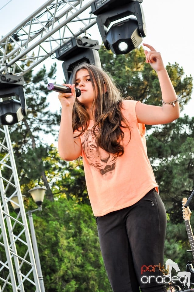 Festivalul luminii, Oradea