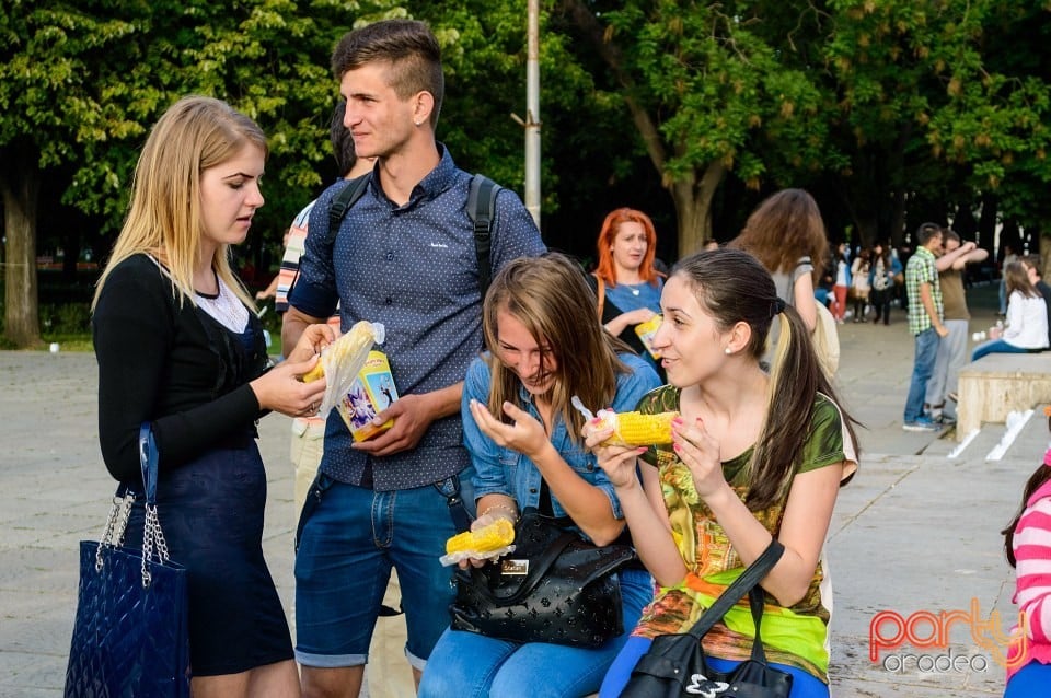 Festivalul luminii, Oradea