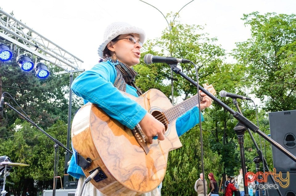 Festivalul luminii, Oradea