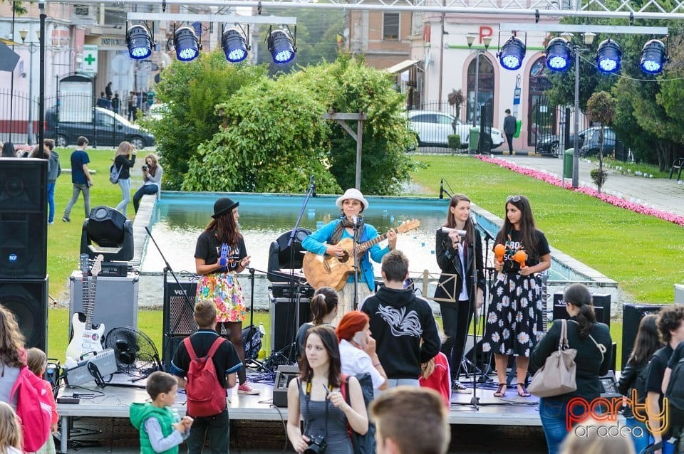 Festivalul luminii, Oradea