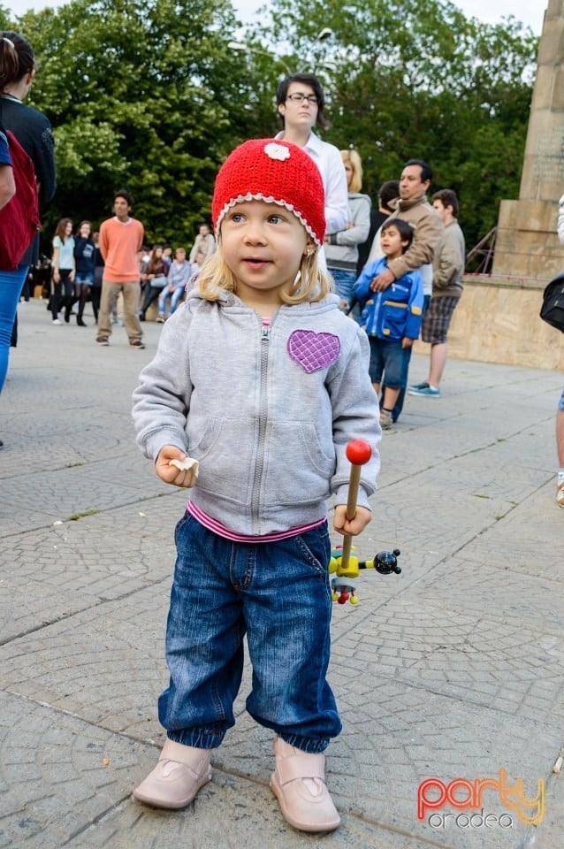 Festivalul luminii, Oradea