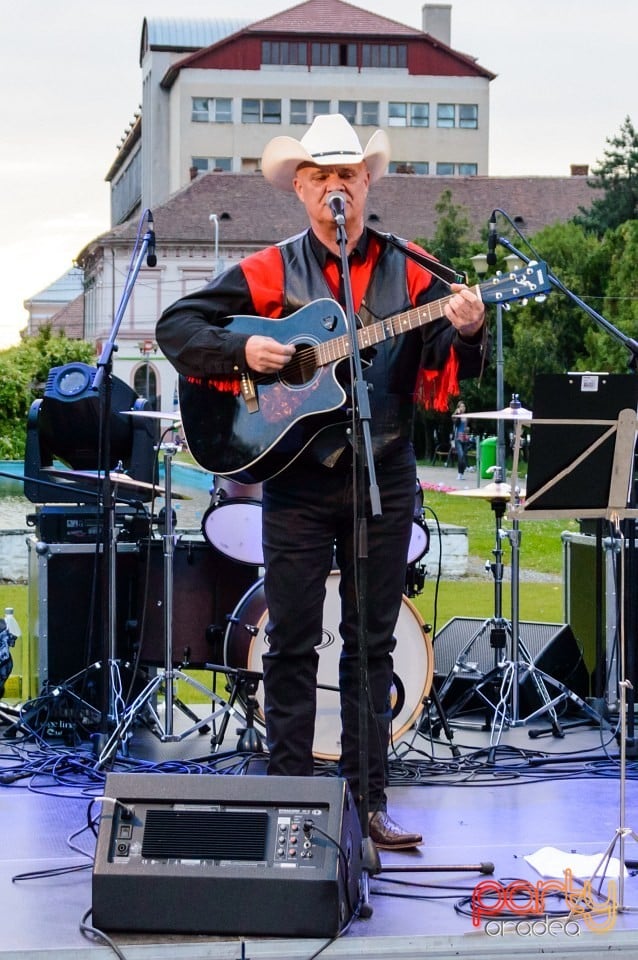 Festivalul luminii, Oradea