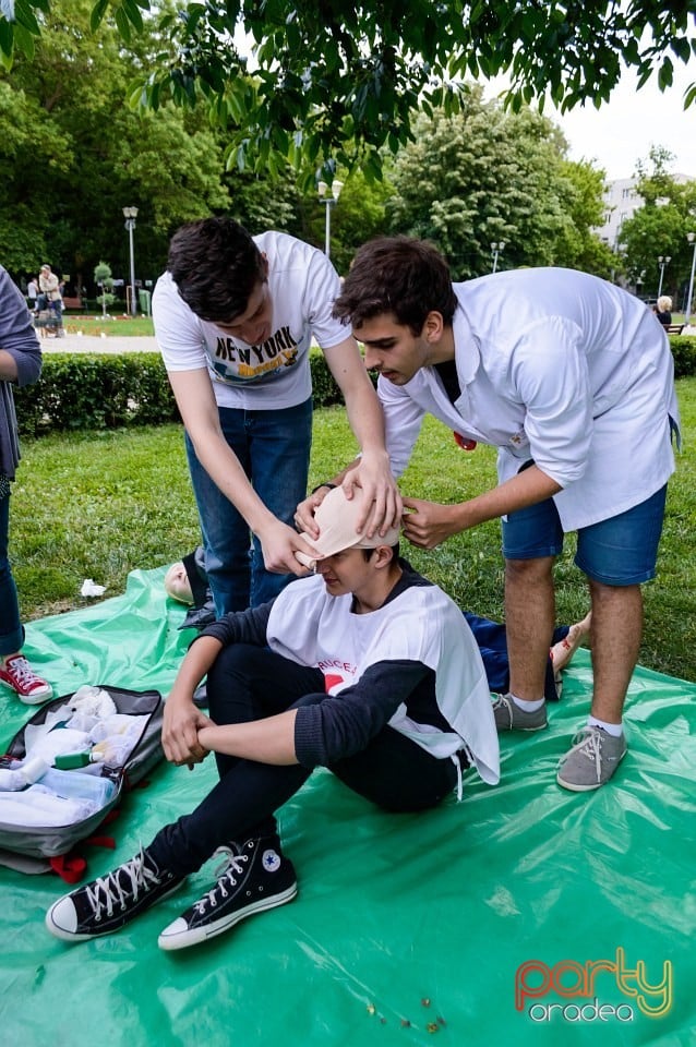 Festivalul luminii, Oradea