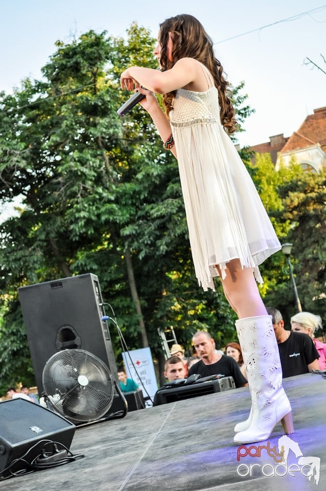 Festivalul luminii, Oradea
