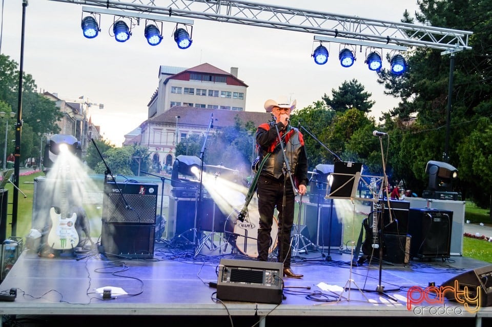 Festivalul luminii, Oradea