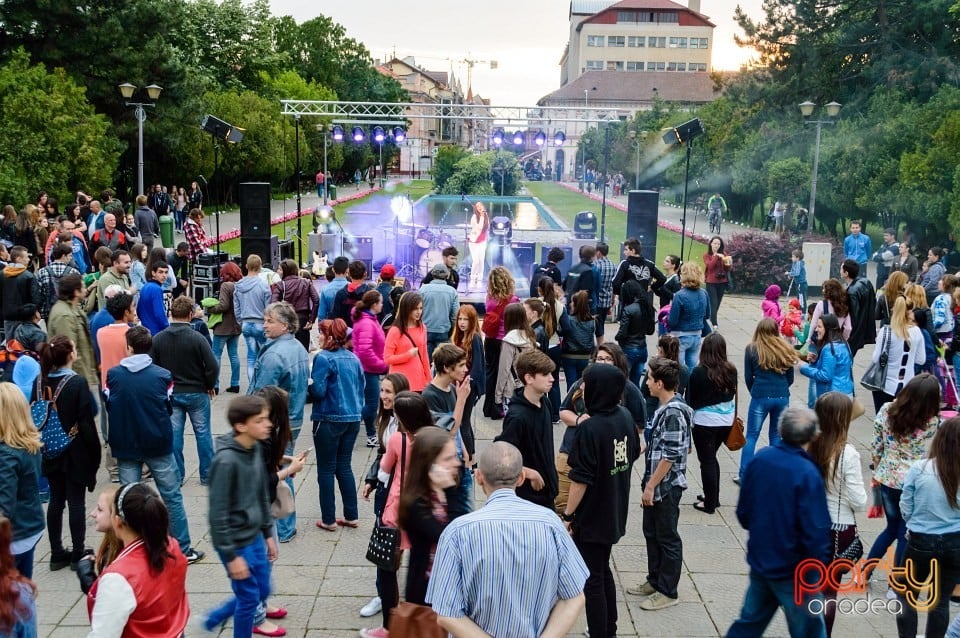 Festivalul luminii, Oradea