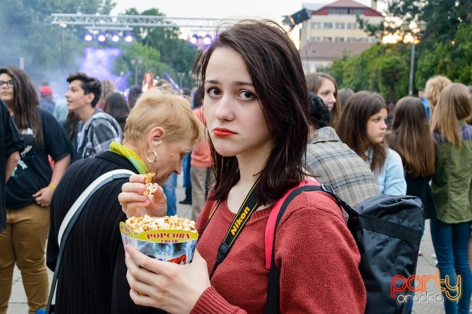 Festivalul luminii, Oradea