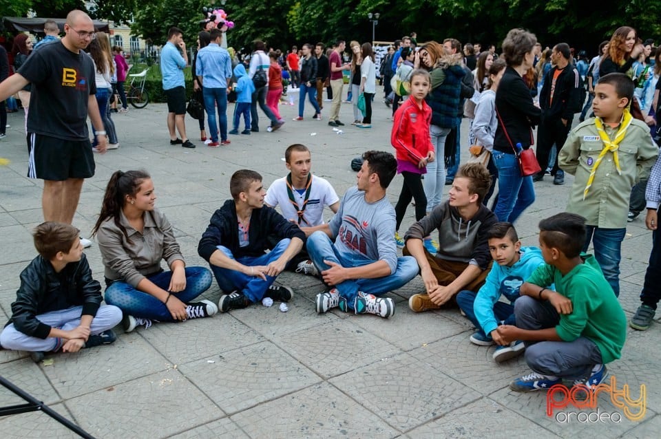 Festivalul luminii, Oradea