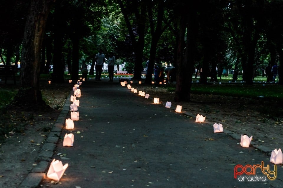 Festivalul luminii, Oradea