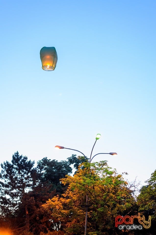 Festivalul Luminii, Oradea