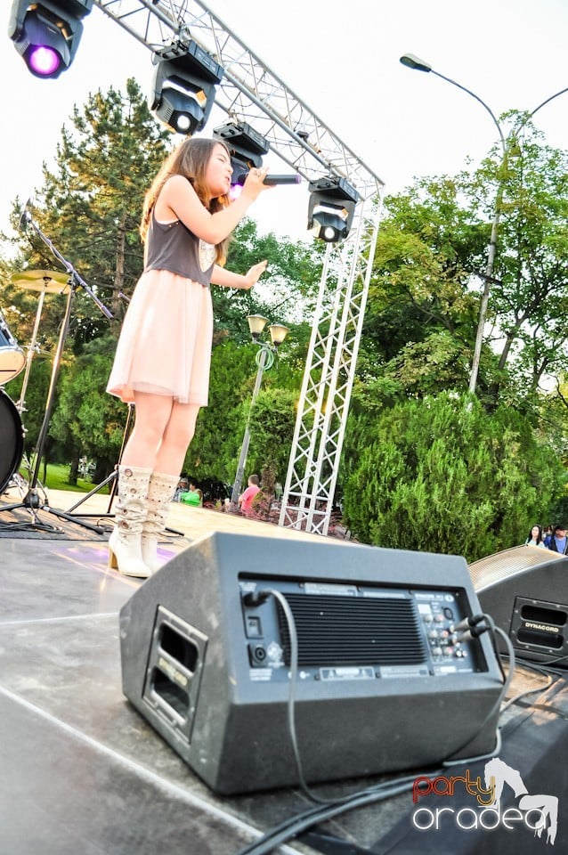 Festivalul luminii, Oradea