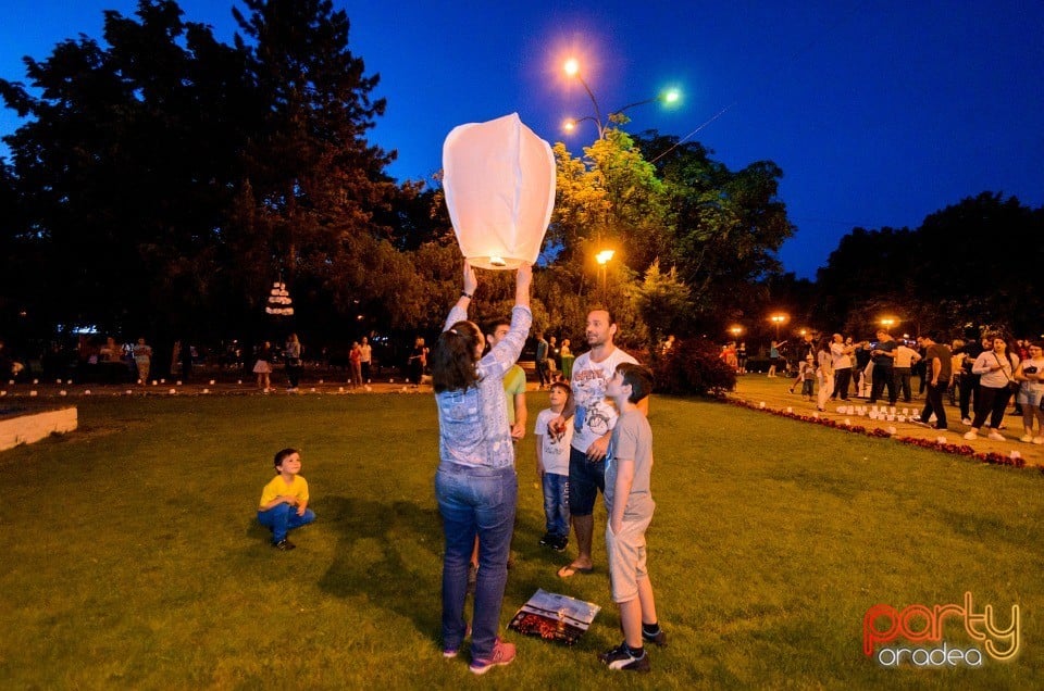 Festivalul Luminii, Oradea